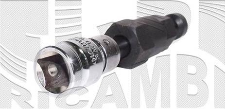 Autoteam A06092 - Fulie, alternator - allinparts.ro