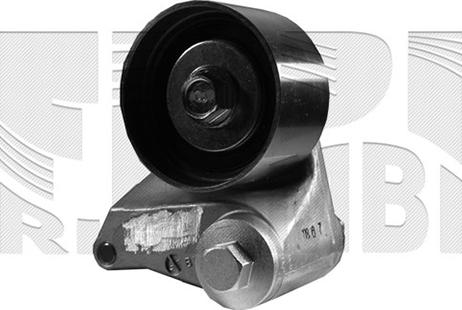 Autoteam A06896 - Rola intinzator,curea distributie allinparts.ro