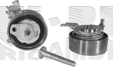 Autoteam A01100 - Rola intinzator,curea distributie - allinparts.ro