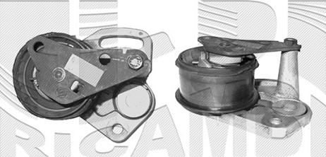 Autoteam A02456 - Rola intinzator,curea distributie - allinparts.ro