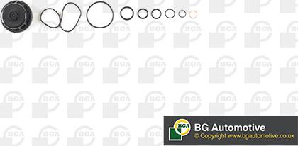 BGA CK1503 - Set garnituri, carter - allinparts.ro