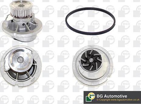 BGA CP3352 - Pompa apa allinparts.ro