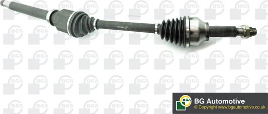 BGA DS2318R - Planetara allinparts.ro