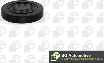 BGA PL4601 - Dop, gaura de montaj ax culbutori allinparts.ro