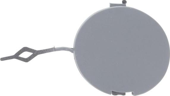 BLIC 6502-07-0105920P - Acoperire tampon,sistem de remorcare - allinparts.ro