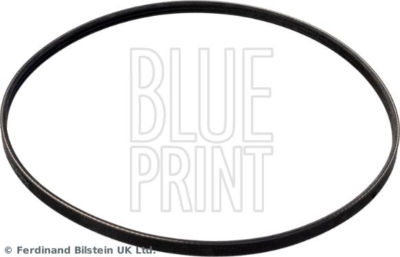 Blue Print AD03R872 - Curea transmisie cu caneluri - allinparts.ro