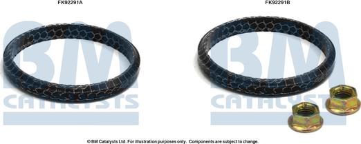 BM Catalysts FK92291 - Set montare, catalizator - allinparts.ro