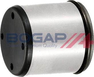 BOGAP A1628100 - Tija, pompa inalta presiune allinparts.ro