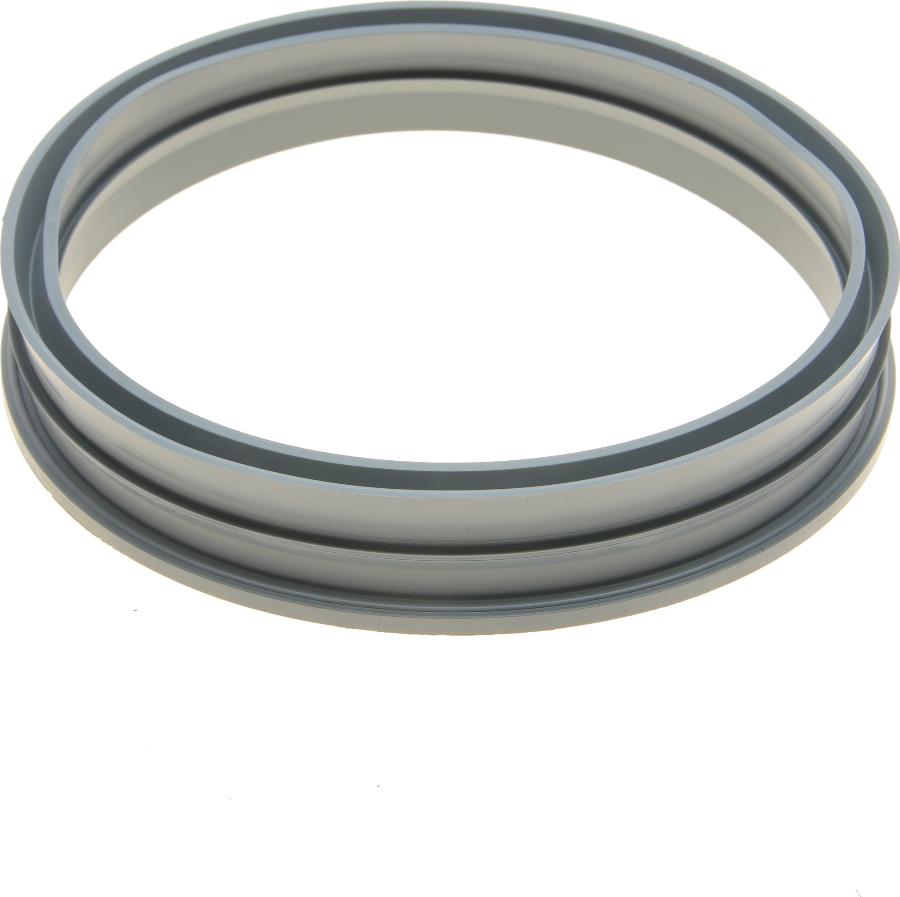 BOGAP A1623101 - Garnitura, pompa combustibil - allinparts.ro