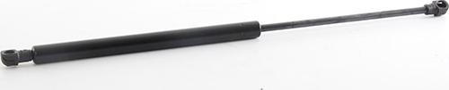 BSG BSG 75-980-019 - Amortizor portbagaj - allinparts.ro