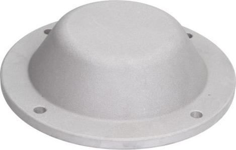 BTA B09-DAF-001 - Capac, butuc roata - allinparts.ro