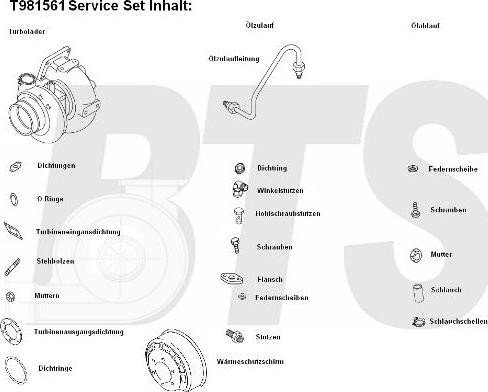 BTS Turbo T981561 - Compresor,sistem de supraalimentare allinparts.ro