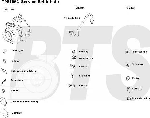 BTS Turbo T981563 - Compresor,sistem de supraalimentare allinparts.ro