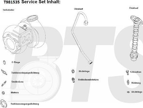 BTS Turbo T981535 - Compresor,sistem de supraalimentare allinparts.ro
