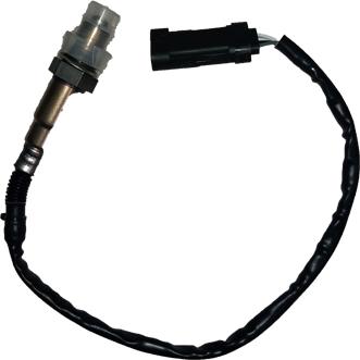 Bugiad 54030 - Sonda Lambda - allinparts.ro