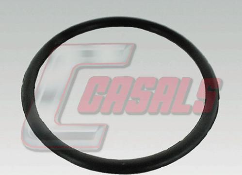 Casals 7639 - Garnitura, pompa de apa allinparts.ro