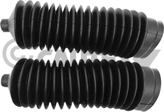 Cautex 900523 - Ansamblu burduf, directie allinparts.ro