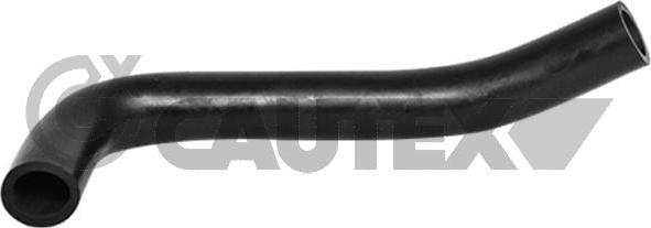 Cautex 036744 - Furtun, aerisire chiulasa - allinparts.ro