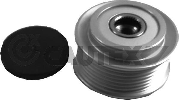 Cautex 759773 - Fulie, alternator - allinparts.ro