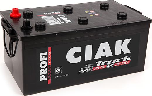 CIAKStarter CSP230L - Baterie de pornire allinparts.ro