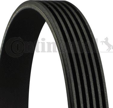 CONTINENTAL 6PK1450 - Curea transmisie cu caneluri allinparts.ro