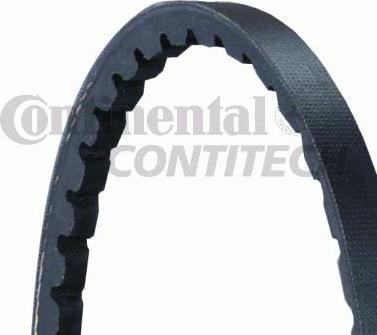 CONTINENTAL AVX10X825 - Curea transmisie allinparts.ro