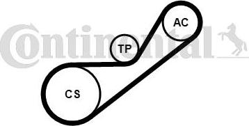 CONTINENTAL 4PK925K1 - Set curea transmisie cu caneluri - allinparts.ro