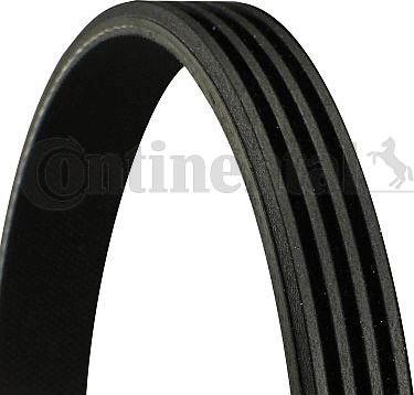 CONTINENTAL 4PK895 - Curea transmisie cu caneluri allinparts.ro