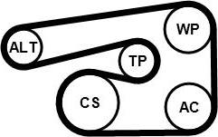 CONTINENTAL 5PK1546K1 - Set curea transmisie cu caneluri allinparts.ro