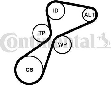 CONTINENTAL 5PK1105K1 - Set curea transmisie cu caneluri - allinparts.ro