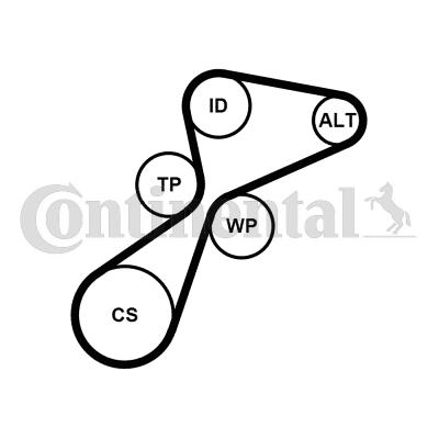CONTINENTAL 5PK1105K1 - Set curea transmisie cu caneluri allinparts.ro