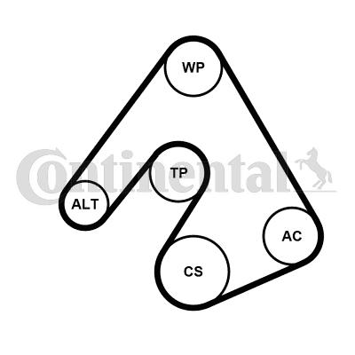 CONTINENTAL 5PK1207K1 - Set curea transmisie cu caneluri allinparts.ro
