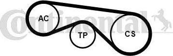CONTINENTAL 5PK890K3 - Set curea transmisie cu caneluri - allinparts.ro