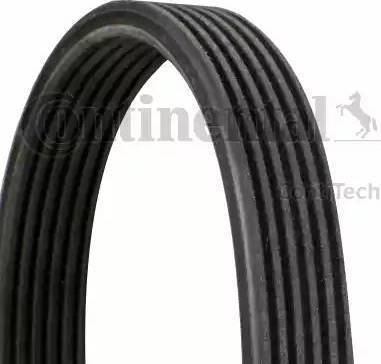 CONTINENTAL 6DPK1237 - Curea transmisie cu caneluri allinparts.ro