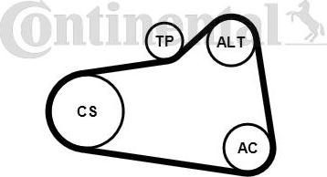 CONTINENTAL 6PK905 EXTRA K1 - Set curea transmisie cu caneluri allinparts.ro