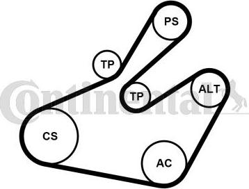CONTINENTAL 6PK1468K1 - Set curea transmisie cu caneluri - allinparts.ro