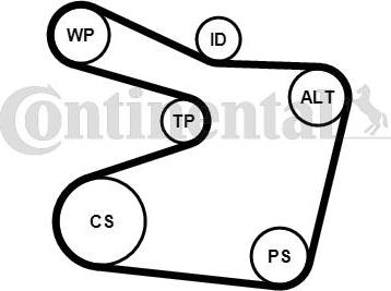 CONTINENTAL 6PK1555WP1 - Pompa apa + Set curea transmisie cu caneluri - allinparts.ro