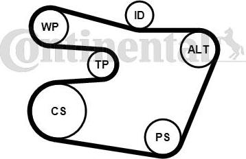 CONTINENTAL 6PK1538WP1 - Pompa apa + Set curea transmisie cu caneluri - allinparts.ro