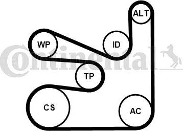CONTINENTAL 6PK1660WP2 - Pompa apa + Set curea transmisie cu caneluri - allinparts.ro