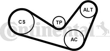 CONTINENTAL 6PK1050K4 - Set curea transmisie cu caneluri - allinparts.ro