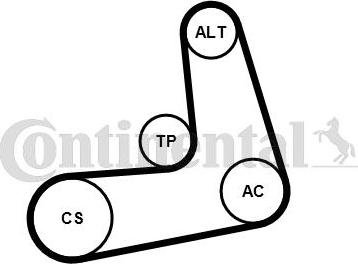 CONTINENTAL 6PK1005K2 - Set curea transmisie cu caneluri - allinparts.ro