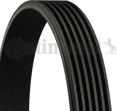 CONTINENTAL 6PK860 ELAST - Curea transmisie cu caneluri allinparts.ro