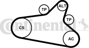 CONTINENTAL 6PK1020 EXTRA K1 - Set curea transmisie cu caneluri allinparts.ro