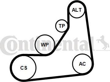 CONTINENTAL 6PK1153K5 - Set curea transmisie cu caneluri - allinparts.ro