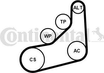 CONTINENTAL 6PK1157 EXTRA K1 - Set curea transmisie cu caneluri - allinparts.ro