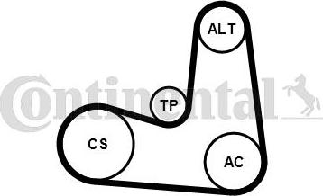 CONTINENTAL 6PK1180K5 - Set curea transmisie cu caneluri allinparts.ro