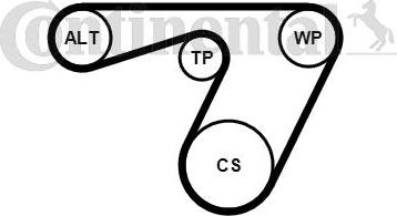 CONTINENTAL 6PK1180K1 - Set curea transmisie cu caneluri - allinparts.ro