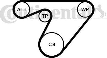 CONTINENTAL 6PK1180K3 - Set curea transmisie cu caneluri - allinparts.ro