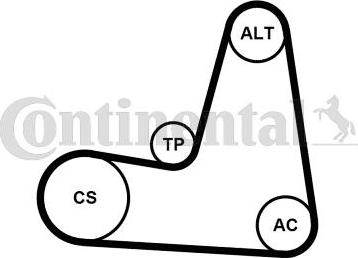 CONTINENTAL 6PK1130K2 - Set curea transmisie cu caneluri - allinparts.ro