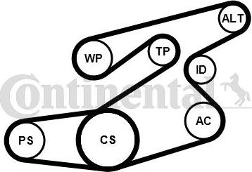 CONTINENTAL 6PK1836K1 - Set curea transmisie cu caneluri - allinparts.ro